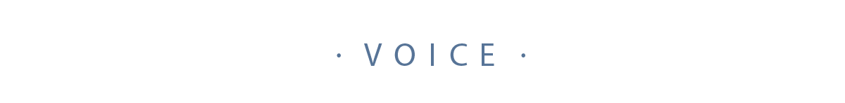 voice